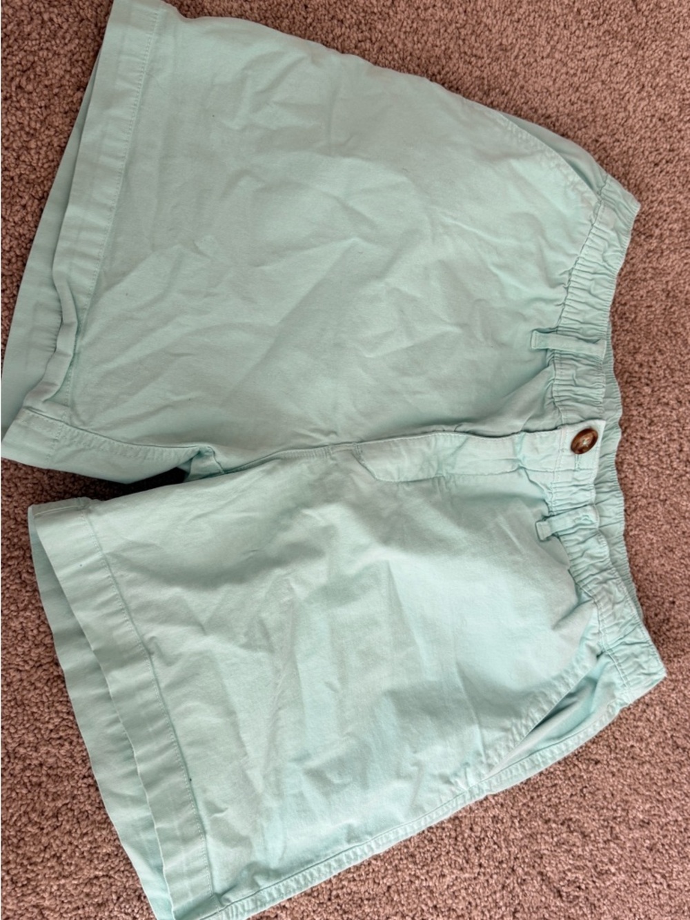 Chubbies Aqua 5.5” shorts